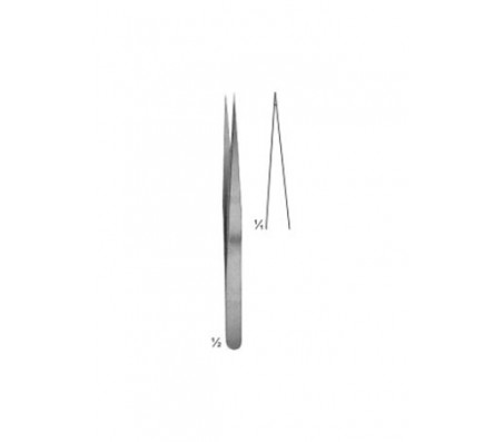 Forceps